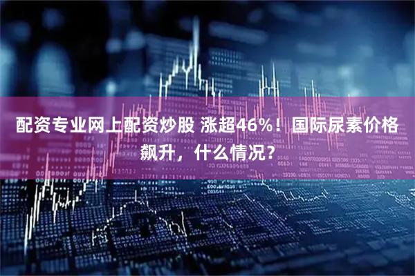 配资专业网上配资炒股 涨超46%!国际尿素价格飙升,什么情况?